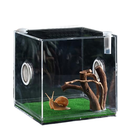 Vgvgaj Habitat Reptilienkäfig, kleiner Käfig für Reptilien, transparent, 360 Grad, für Eidechsen, für Haustiere von Vgvgaj