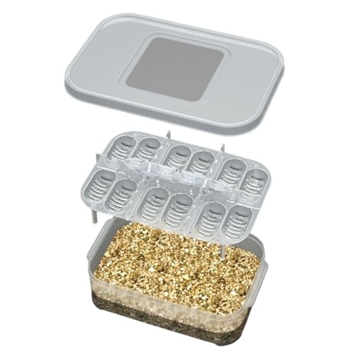 Vhjlfig 16.5 X11x5cm Reptilien Brutkasten Für Eier 12 Gitter Reptilien Zuchtbox Brutbox Für Reptilieneier Transparente Inkubationsbox Für Die Entwicklung Von Reptilieneiern Brutkasten Bruttablett Vhjlfig 16.5 X11x5cm Reptilien Brutkasten Für Eier 12 Gitter Reptilien Zuchtbox Brutbox Für Reptilieneier Transparente Inkubationsbox Für Die Entwicklung Von Reptilieneiern Brutkasten Bruttablett von Vhjlfig