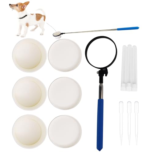 Vhjlfig Hunde-Urinfänger – Teleskop-Urinsammler mit langem Griff, Tierarztbedarf, Katzenpinkelstab, Stab für kleine, große Hündinnen Vhjlfig Hunde-Urinfänger – Teleskop-Urinsammler mit langem Griff, Tierarztbedarf, Katzenpinkelstab, Stab für kleine, große Hündinnen von Vhjlfig