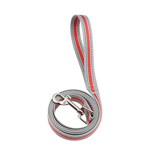 Haustier-Schlupfseil, Hundeleine, reflektierendes Nylon for kleine, mittelgroße und große Hunde, Outdoor, Laufen, Gehen, Training, Haustier-Hundeseil, Halsband, Geschirr, Leine, Leinen (Farbe: Rot) ( von VhoMes