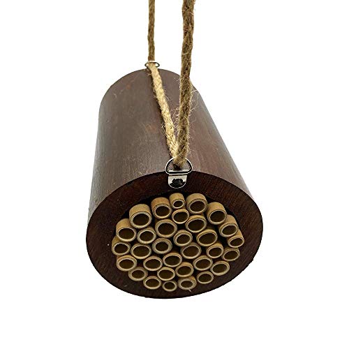 Vie Naturals Bienenhaus, Bambusfass, 15 x 9 x 9 cm von VIE