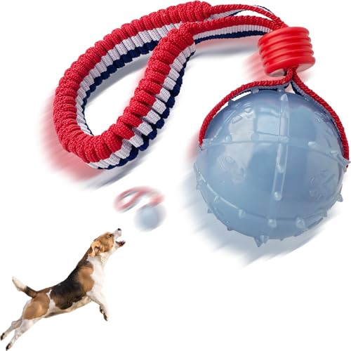 Spielzeugkugel werfen ，Hundespielzeugball, Hundespielzeugball mit Seil, interaktives Haustierspielzeug, Hundeballspielzeug aus Seil, Wurfspielzeugball, große, mittelgroße und kleine Hunde (CQ-QL) von ViVNiK