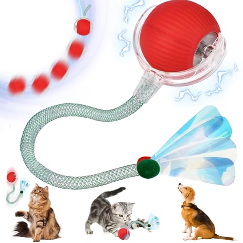 Vibbang Interaktives Katzenspielzeug Katzenball, Katzenspielzeug Elektrisch mit USB Aufladbar, Interaktives Katzenball Spielzeug, 360°Automatisch Rolling Smart Toy Ball Für Katzen Hunde Vibbang Interaktives Katzenspielzeug Katzenball, Katzenspielzeug Elektrisch mit USB Aufladbar, Interaktives Katzenball Spielzeug, 360°Automatisch Rolling Smart Toy Ball Für Katzen Hunde von Vibbang