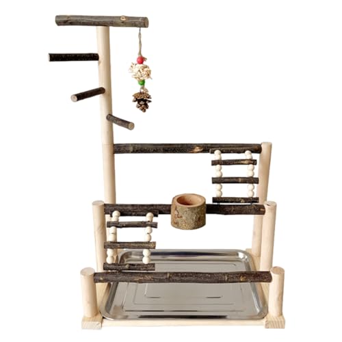 Bird Playground Stand - Vogelpapageien Klammer, interaktiver Vogelstand | Robuster Edelstahl -Vogelständer mit Leiter, Air -Release -Training Desktop -Ständer mit Spielbereich für Bird Brudg von Vibhgtf
