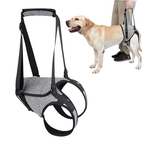 Hebegeschirr für die Hinterseite von Hunden – Hebegeschirr für ältere Hunde, Stützschlinge für Hunde | Treppenhilfe für Hunde, Hebegeschirr für Hunde, Hundegeschirr zur Unterstützung der Hinterbeine b Hebegeschirr für die Hinterseite von Hunden – Hebegeschirr für ältere Hunde, Stützschlinge für Hunde | Treppenhilfe für Hunde, Hebegeschirr für Hunde, Hundegeschirr zur Unterstützung der Hinterbeine b von Vibhgtf