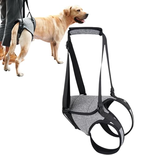 Hebegeschirr für die Hinterseite von Hunden – Hebegeschirr für ältere Hunde, Stützschlinge für Hunde | Treppenhilfe für Hunde, Hebegeschirr für Hunde, Hundegeschirr zur Unterstützung der Hinterbeine b Hebegeschirr für die Hinterseite von Hunden – Hebegeschirr für ältere Hunde, Stützschlinge für Hunde | Treppenhilfe für Hunde, Hebegeschirr für Hunde, Hundegeschirr zur Unterstützung der Hinterbeine b von Vibhgtf
