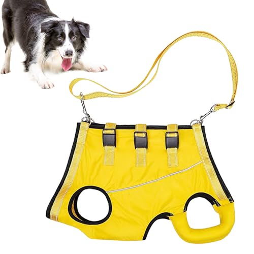 Hunde-Hebegeschirr – Verstellbares Geschirr | Hebeweste für ältere, behinderte oder verletzte Hunde, Komfortables Haustier-Hebegeschirr. ideal zum Spazierengehen Hunde-Hebegeschirr – Verstellbares Geschirr | Hebeweste für ältere, behinderte oder verletzte Hunde, Komfortables Haustier-Hebegeschirr. ideal zum Spazierengehen von Vibhgtf