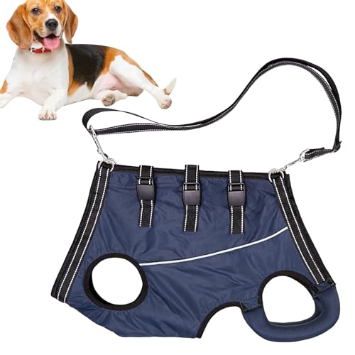 Hunde-Hebegeschirr – Verstellbares Geschirr | Komfortables Haustier-Hebegeschirr. Hebeweste für ältere, behinderte oder verletzte Hunde, ideal zum Spazierengehen. Hunde-Hebegeschirr – Verstellbares Geschirr | Komfortables Haustier-Hebegeschirr. Hebeweste für ältere, behinderte oder verletzte Hunde, ideal zum Spazierengehen. von Vibhgtf