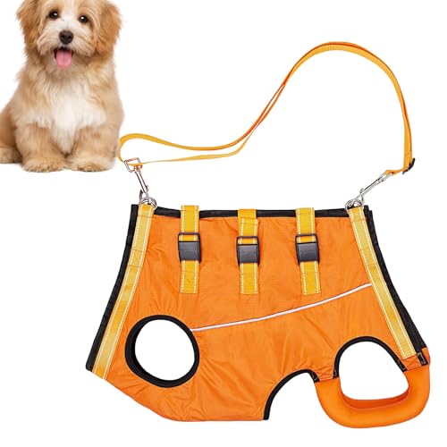 Hunde-Hebegeschirr – Verstellbares Geschirr | Komfortables Haustier-Hebegeschirr. Hebeweste für ältere, behinderte oder verletzte Hunde, ideal zum Spazierengehen. Hunde-Hebegeschirr – Verstellbares Geschirr | Komfortables Haustier-Hebegeschirr. Hebeweste für ältere, behinderte oder verletzte Hunde, ideal zum Spazierengehen. von Vibhgtf