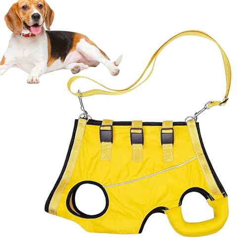 Hunde-Hebegeschirr – Verstellbares Geschirr | Komfortables Haustier-Hebegeschirr. Hebeweste für ältere, behinderte oder verletzte Hunde, ideal zum Spazierengehen. Hunde-Hebegeschirr – Verstellbares Geschirr | Komfortables Haustier-Hebegeschirr. Hebeweste für ältere, behinderte oder verletzte Hunde, ideal zum Spazierengehen. von Vibhgtf