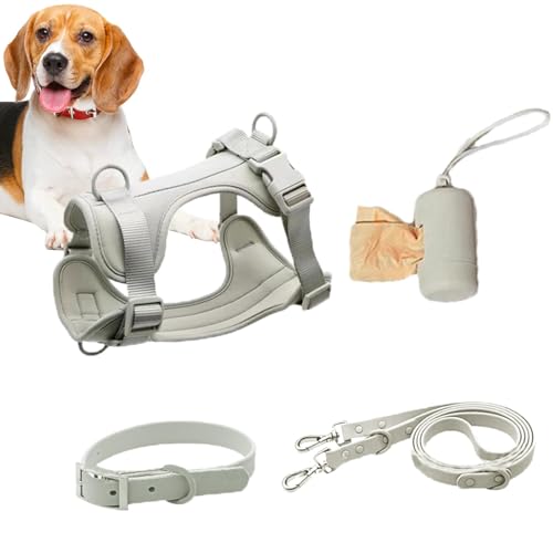 Hundegeschirr-Set: Hundegeschirr, das nicht zieht, multifunktionales Leinenset für mittelgroße Hunde, verstellbares Halsband für Hunde, einfach jeden Tag, modisch Hundegeschirr-Set: Hundegeschirr, das nicht zieht, multifunktionales Leinenset für mittelgroße Hunde, verstellbares Halsband für Hunde, einfach jeden Tag, modisch von Vibhgtf