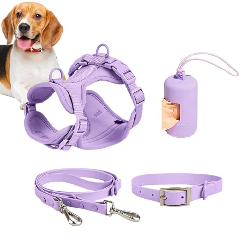 Hundegeschirr-Set: Hundegeschirr, das nicht zieht, multifunktionales Leinenset für mittelgroße Hunde, verstellbares Halsband für Hunde, einfach jeden Tag, modisch Hundegeschirr-Set: Hundegeschirr, das nicht zieht, multifunktionales Leinenset für mittelgroße Hunde, verstellbares Halsband für Hunde, einfach jeden Tag, modisch von Vibhgtf
