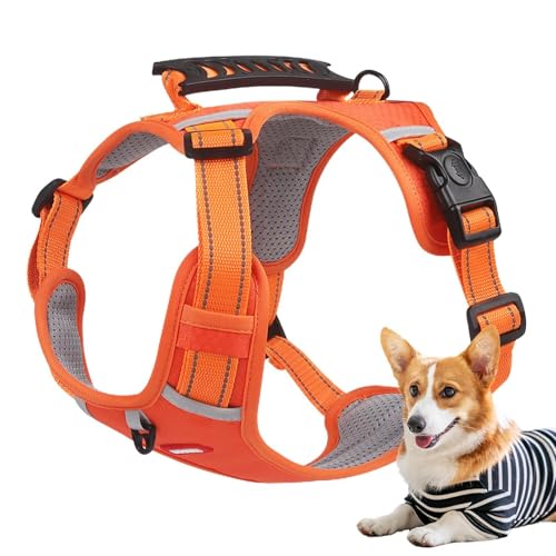 Hundegeschirr zum Spazierengehen, weiches Hundegeschirr, kein Ziehen, Outdoor-Hundegeschirr, Halterung, Reise-Haustier-Brust- und Rückenleine mit Griff für Spaziergänge, Training Hundegeschirr zum Spazierengehen, weiches Hundegeschirr, kein Ziehen, Outdoor-Hundegeschirr, Halterung, Reise-Haustier-Brust- und Rückenleine mit Griff für Spaziergänge, Training von Vibhgtf