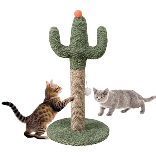 Kratzbaum für Katzen, – Niedliche Katzenkratzbäume | Natürliche Kätzchen aus weichem Stoff, Kratzstangen mit interaktiver Kugel für alle Indoor-Rassen Kratzbaum für Katzen, – Niedliche Katzenkratzbäume | Natürliche Kätzchen aus weichem Stoff, Kratzstangen mit interaktiver Kugel für alle Indoor-Rassen von Vibhgtf