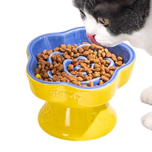Langsamer Futternapf für Haustiere, Verlangsamungsschüssel | Maze Hundefutterschale – spülmaschinenfeste Keramikschüssel mit abgeschrägtem Rand für kleine Hunde und Katzen von Vibhgtf