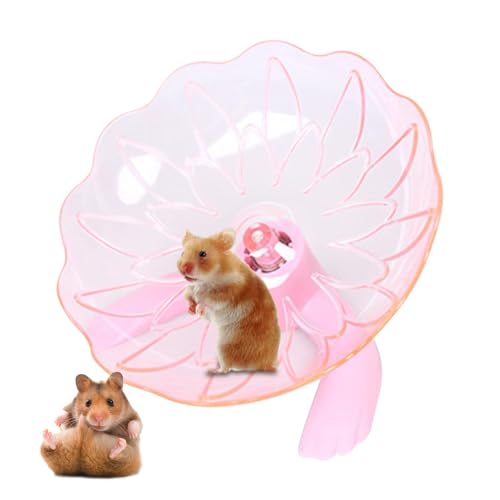 Leises Hamsterrad,Hamsterlaufrad,Leises Hamster-Übungslaufrad - Niedliches Käfigzubehör, Hamsterspielzeug für kleine Haustiere, Syrischer Hamster, Rennmäuse, Meerschweinchen, Mäuse Leises Hamsterrad,Hamsterlaufrad,Leises Hamster-Übungslaufrad - Niedliches Käfigzubehör, Hamsterspielzeug für kleine Haustiere, Syrischer Hamster, Rennmäuse, Meerschweinchen, Mäuse von Vibhgtf