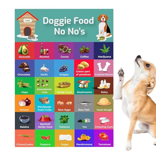 Liste der Hundefutter – Sicherheits-Magnet für Hundefutter – Leitfaden für Hundefutter | Sichere Anleitung für Hundefutter Magnet mit Bildern, Gesundheitsriegel von Vibhgtf