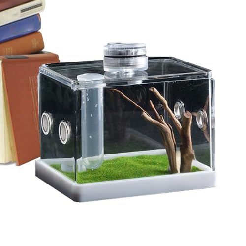 Spinnenzuchtbox – Brutbehälter | Fischzuchttanks – Fütterung in Käfigen für Spinnen, Zubehör für Gehege, Reptilien und Amphibien für Amphibien, p von Vibhgtf