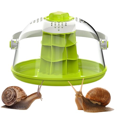 Spinnenzuchtkasten – Mini-Haus transparent für Haustiere mit Löchern, Aufzuchtbehälter im Käfig für Eidechsen, für Kleintiere, Schildkröten, aus Seide, Reptilien Spinnenzuchtkasten – Mini-Haus transparent für Haustiere mit Löchern, Aufzuchtbehälter im Käfig für Eidechsen, für Kleintiere, Schildkröten, aus Seide, Reptilien von Vibhgtf