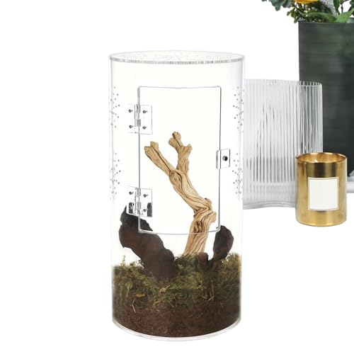 Sprungspinnenlebensraum, Acrylreptilteriumkäfig, Sprungspinnen -Terrarium, vordere Öffnungstür wasserdichte kleine Reptilienkäfiglebensraum für Tarantelschnecken Sprungspinnenlebensraum, Acrylreptilteriumkäfig, Sprungspinnen -Terrarium, vordere Öffnungstür wasserdichte kleine Reptilienkäfiglebensraum für Tarantelschnecken von Vibhgtf