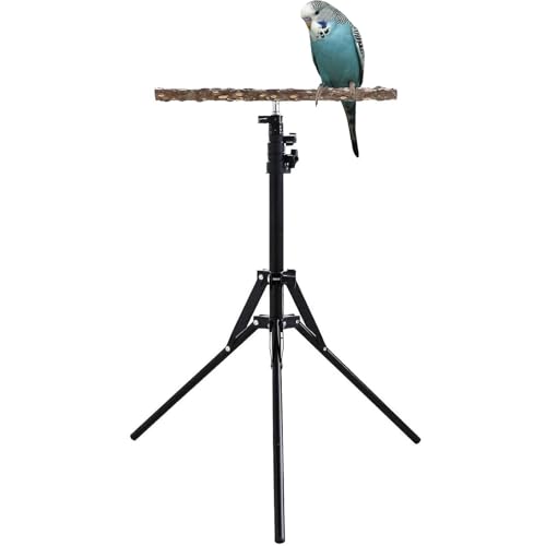 Verstellbarer Vogel-Kleiderbügel – verstellbare -Kleiderbügel – Höhenverstellbare Vogel-Kleiderbügel von 15,74 bis 61,81 Zoll für | Mehrzweck-Vogelständer für Vögel von Vibhgtf