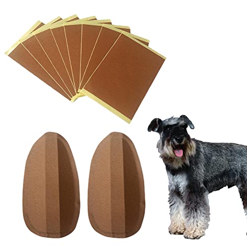 Vibhgtf Dog Ear | Instrument mit festen Wörtern für Hunde – vertikale Halterung für die Korrekturgesellschaft ' für Hunde für über 2 Monate Vibhgtf Dog Ear | Instrument mit festen Wörtern für Hunde – vertikale Halterung für die Korrekturgesellschaft ' für Hunde für über 2 Monate von Vibhgtf