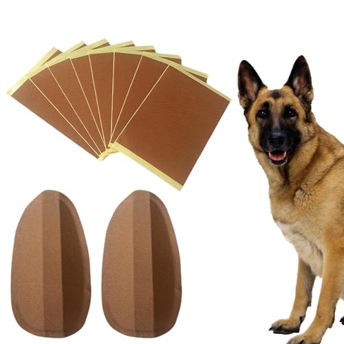 Vibhgtf Durberma Kit zur Anzeige von Hundeohren – Festes Kit Dange Fizio Hunde – Aufkleber für Bauwerkzeuge für grüne Hunde für Pinscher Dogs mehr als 2 Monate Vibhgtf Durberma Kit zur Anzeige von Hundeohren – Festes Kit Dange Fizio Hunde – Aufkleber für Bauwerkzeuge für grüne Hunde für Pinscher Dogs mehr als 2 Monate von Vibhgtf