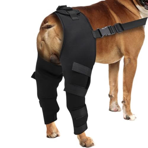 Vibhgtf Hüftstütze für Hunde, verstellbare Halterung für Hundepfoten, Knie- und Rückenstütze für die Erholung von Hundepfoten von Vibhgtf