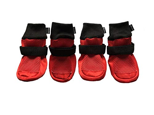 Vibrant Fellow Hundeschuhe, atmungsaktiv, 4 Stück, Größe XL, Rot Vibrant Fellow Hundeschuhe, atmungsaktiv, 4 Stück, Größe XL, Rot von Vibrant Fellow