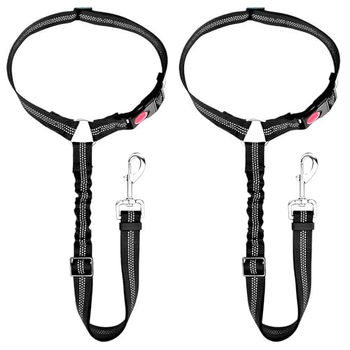 2 PCS Verstellbarer Anschnallgurt Hund Auto kopfstütze, mit Kopfstützenbefestigung, Sicherheitsgeschirr für Kleine und mit Telgroße Hunde, Elastischer Hunde Sicherheitsgurt in Schwarz 2 PCS Verstellbarer Anschnallgurt Hund Auto kopfstütze, mit Kopfstützenbefestigung, Sicherheitsgeschirr für Kleine und mit Telgroße Hunde, Elastischer Hunde Sicherheitsgurt in Schwarz von Vidsmow