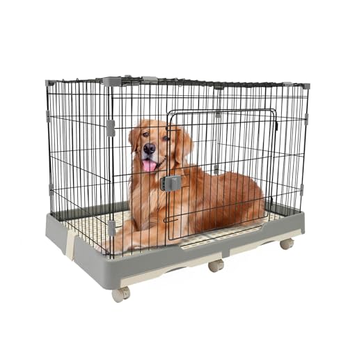 Hundekäfig, Transportabler Haustierkäfig aus Stahldraht mit 2 Türen, 99x62x75cm Gitter Hundebox mit 2 Ausziehbaren Ablagen und 6 Universal-Räder für Kleine Haustier Bis Zu 20 Kg, Grau von Vielrosse