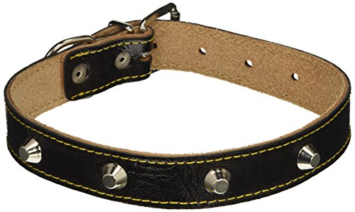 Halsbänder für schwere Hunde, Leder, mit Nieten von Vigor