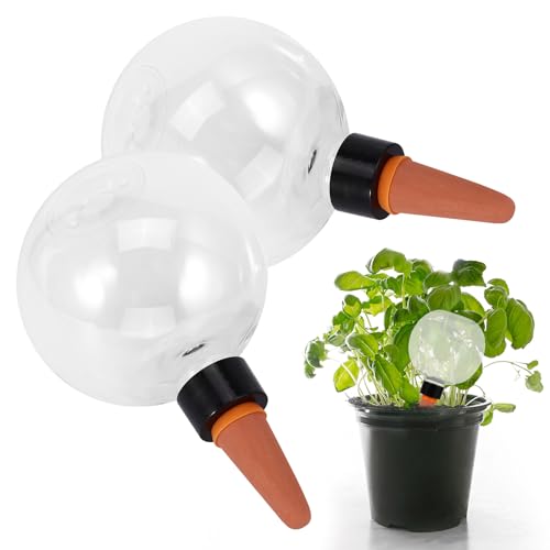 Viitech 2 Stück Bewässerungskugeln, 500ml Automatische Pflanzen Bewässerung, Wasserspender Pflanzen zur Automatischen Bewässerung von Zimmer und Gartenpflanzen Viitech 2 Stück Bewässerungskugeln, 500ml Automatische Pflanzen Bewässerung, Wasserspender Pflanzen zur Automatischen Bewässerung von Zimmer und Gartenpflanzen von Viitech