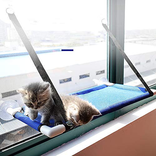 Vimmor Atmungsaktive Hängematte Für Katzenfenster Barschbett Kühlsaugnäpfe Sitz Katzenregale Hängemattenbetten Für Katzen Halten 10 Kg 3 Farben Blau von Vimmor