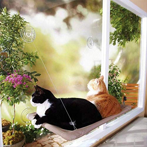 Vimmor Haustier Katze Hängematte 40 Pfund Aalen Fenster Montiert Sitz Home Saugnapf Hängende Bett Matte Lounge Kätzchen Katze Zubehör Hautfarbe von Vimmor