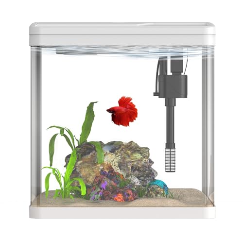 Betta-Starter-Set, selbstreinigendes Aquarium, 2 Liter. von Vimvins