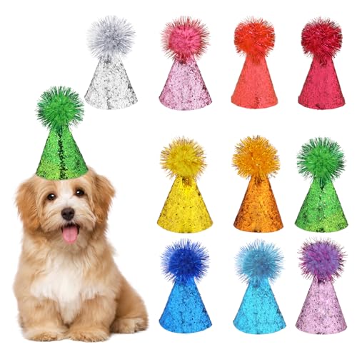 Vin Beauty 10-teiliges Mini-Hundehut-Set, mehrfarbig, Katzen-Geburtstagshut, verstellbar, mit Pompons für Haustiere, Hunde, Kaninchen, Katzen, Stofftiere, Party-Kostüm-Zubehör von Vin Beauty