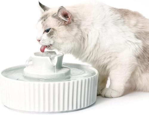 VinDox 360 Katzenbrunnen Keramik, 2.1L Trinkbrunnen für Katze Keramik Trinkbrunnen Schüssel für Katze und Hunde mit Ersatzfilter und Schaumstoff Intelligente Pumpe (weiß) von VinDox