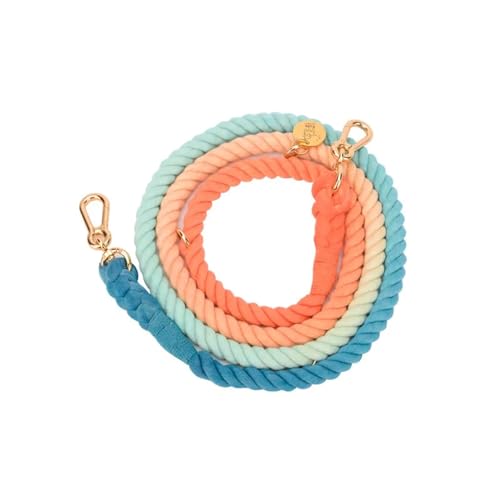 Handgewebtes Halsband für Haustiere, mit Farbverlauf, für den Außenbereich, Seil, runde Baumwoll-Leine, Haustierprodukte (Farbe: Leine B-3, Größe: M) von VinerY