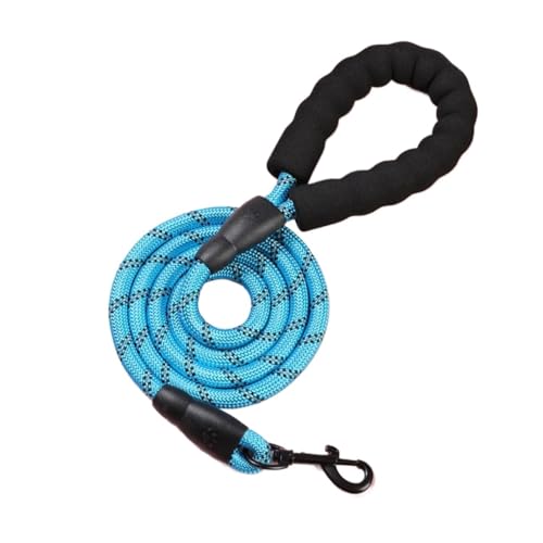 Hundeleine, Nylon, reflektierend, für mittelgroße und kleine und große Hundeleinen, Seile für Haustiere, Zubehör (Farbe: Hellblau, Größe: 1,0 cm, 1,2 m) von VinerY