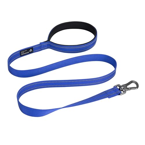 Hundeleine, reflektierend, für Welpen, verstellbare Hundeleine, bequemes kurzes Seil (Farbe: Blau, Größe: 2,5 cm) von VinerY