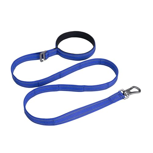 Hundeleine für Haustiere, 2,5 cm, verstellbare Leine, Sicherheit, Reisen, Welpen, Seil, Spaziergang mit dem Hund, langlebiges Haustierzubehör (Farbe: Blau, Größe: 2,5 cm) von VinerY