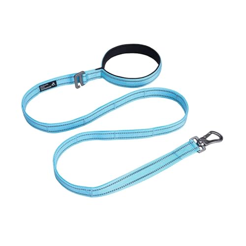 Hundeleine für Haustiere, 2,5 cm, verstellbare Leine, Sicherheit, Reisen, Welpen, Seil, Spaziergang mit dem Hund, langlebiges Haustierzubehör (Farbe: Hellblau, Größe: 2,5 cm) von VinerY