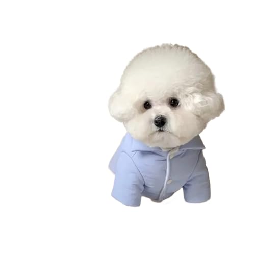 Niedlicher Hundepullover, warm, Winter, modisch, Katze, Hundejacke, Haustier, niedlicher Hund, Desinger, Kleidung, Welpenmantel, Geschirr, Chihuahua, Pudel, Zwergspitz, Farbe: Blau, Größe: S Niedlicher Hundepullover, warm, Winter, modisch, Katze, Hundejacke, Haustier, niedlicher Hund, Desinger, Kleidung, Welpenmantel, Geschirr, Chihuahua, Pudel, Zwergspitz, Farbe: Blau, Größe: S von VinerY