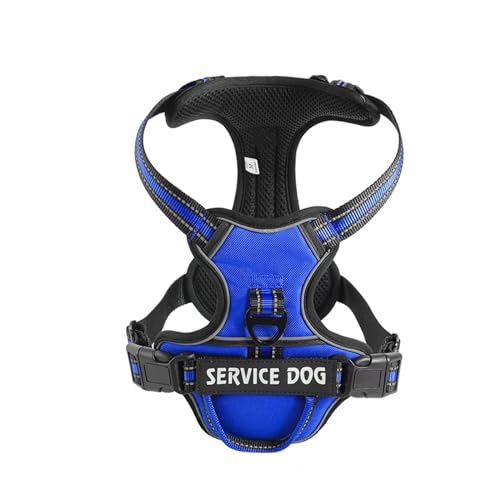 Nylon-Hundegeschirr, reflektierend, personalisierbar, atmungsaktiv, verstellbar, für kleine, mittelgroße und große Hunde (Farbe: Blau, Größe: L) von VinerY