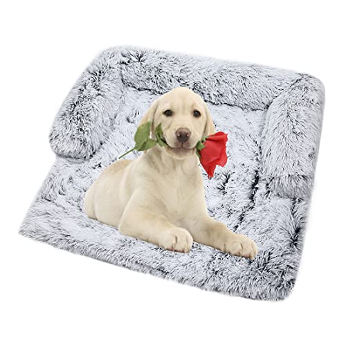 Vinnykud Couchkissen für Hunde und Katzen Plüsch Hundematte Grosse Hundebett Hundesofa Wasserfeste Unterseite Hundedecke Sofaschutz mit Reißverschluss Hundedecke Waschbar Kofferraumschutz Vinnykud Couchkissen für Hunde und Katzen Plüsch Hundematte Grosse Hundebett Hundesofa Wasserfeste Unterseite Hundedecke Sofaschutz mit Reißverschluss Hundedecke Waschbar Kofferraumschutz von Vinnykud