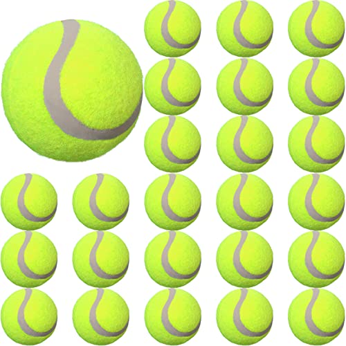 24 Stück Tennisbälle Gummi Filz Tennisbälle für Hunde Aufblasbare Hunde Tennisbälle für Haustiere Training Übung und Übung von Vinsot