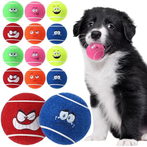 Vinsot Quietschende Tennisbälle für Hunde, Welpen, Tennisbälle mit lächelndem Gesicht, interaktives Haustierspielzeug für kleine Hunde und Welpen, Outdoor-Spieltraining (hell), 12 Stück von Vinsot