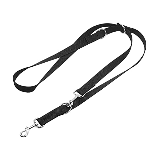 Puppies ESI to Gold Multifunktionale Katzen-Trainingshundeleine aus Premium-Nylon(2,5m2,55m) von Violotoris