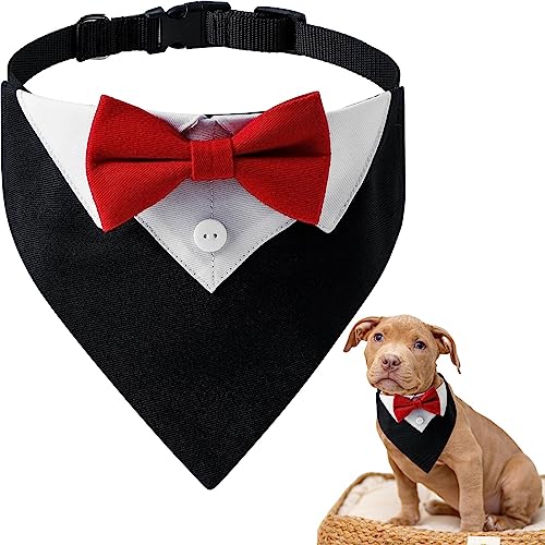 Violotoris War Krawatte für Hunde, Hochzeit, Cholar, Bandana, Tuh Sut, elegant, Geburtstag, Polyester(M) von Violotoris